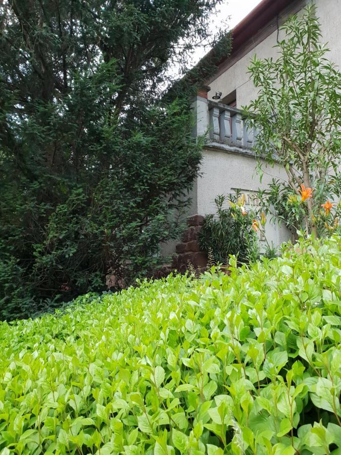 Kasza Villa Balatonfured Exterior photo